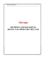 Tiểu luận mô hình cảnh báo khủng hoảng tài chính cho việt nam