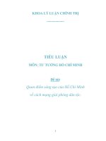 QUAN ĐIỂM SÁNG TẠO CỦA HỒ CHÍ MINH VỀ CÁCH MẠNG GIẢI PHÓNG DÂN TỘC