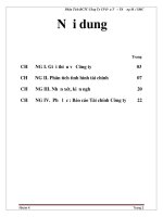 Phân Tích Báo cáo tài chính Công Ty Cổ phần Đầu Tư – Thương Mại SMC