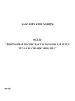 SKKN Phương pháp tổ chức dạy các dạng bài tập Luyện từ và câu cho học sinh lớp 3