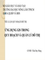 slide thuyết trình Tiểu Luận ứng dụng gis trong quy hoạch và quản lý đô thị