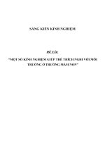 SKKN Một số kinh nghiệm giúp trẻ thích nghi với môi trường ở trường mầm non