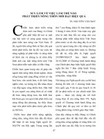 Suy gẫm về việc làm thế nào phát triển nông thôn mới đạt hiểu quả