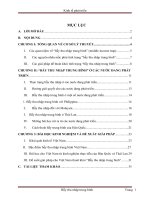 PHÂN TÍCH HIỆN TƯỢNG “BẪY THU NHẬP TRUNG BÌNH” Ở CÁC NƯỚC ĐANG PHÁT TRIỂN VÀ BÀI HỌC KINH NGHIỆM CHO VIỆT NAM HIỆN NAY