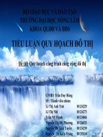 slide thuyết trình Báo Cáo Quy hoạch công trình công cộng đô thị