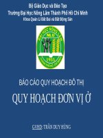slide thuyết trình Báo Cáo Quy hoạch đơn vị ở