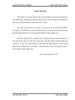 Quản lý dự trữ ngoại hối ở Việt Nam – Thực trạng và giải pháp