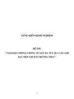 SKKN giáo dục phòng chống tệ nạn ma túy qua các giờ dạy môn GDCD ở trường THCS