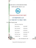 Đề tài môn học KINH TẾ PHÁT TRIỂN CĂN BỆNH HÀ LAN LÝ THUYẾT VÀ THỰC TIỄN