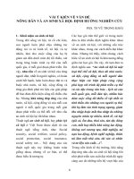 Vài ý kiến về vấn đề nông dân và an sinh xã hội  Định hướng nghiên cứu