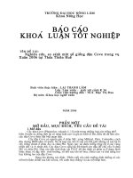 Luận Văn Nghiên cứu, so sánh một số giống đậu Cove trong vụ Xuân 2006 tại Thừa Thiên Huế