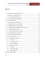 PHÂN TÍCH KHẢ NĂNG PHÂN LỚP DỮ LIỆU TRONG WEKA