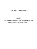 SKKN Phát huy tính tích cực, chủ động của học sinh trong giờ dạy môn Lịch sử THCS