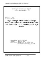 SÁNG KIẾN KINH NGHIỆM MỘT SỐ BIỆN PHÁP TỔ CHỨC HOẠT ĐỘNG BỒI DƯỠNG GIÁO VIÊN Ở TRƯỜNG THCS NGUYỄN TỰ TÂN TRONG NĂM HỌC 2010-2011
