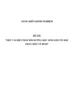 SKKN Một vài biện pháp bồi dưỡng học sinh giỏi Tin học phân môn vẽ hình