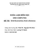 Tiểu luận tính toán lưới Grid Economics And e-Science