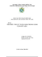 TÌM HIỂU THUẬT TOÁN SOM TRONG GOM CỤM DỮ LIỆU