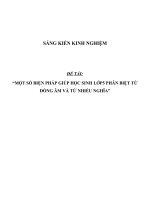 SKKN Một số biện pháp giúp học sinh lớp 5 phân biệt từ đồng âm và từ nhiều nghĩa