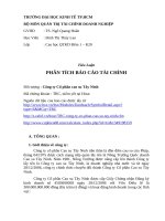 Tiểu Luận PHÂN TÍCH BÁO CÁO TÀI CHÍNH Công ty Cổ phần cao su Tây Ninh