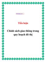 Chính sách giao thông trong quy hoạch đô thị