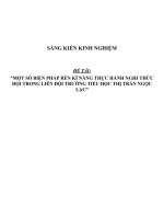 SKKN Một số biện pháp rèn kĩ năng thực hành nghi thức đội trong liên đội trường tiểu học Thị Trấn Ngọc Lặc