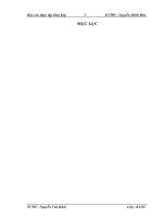 báo cáo thực tập tổng hơp khoa thương mại điện tử tại CỔ PHẦN ĐẦU TƯ VÀ MÔI GIỚI BẤT ĐỘNG SẢN NETREAL VIỆT NAM.