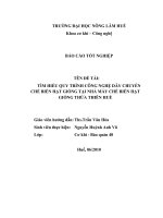 Báo Cáo Tìm hiểu quy trình công nghệ dây chuyền chế biến hạt giống tại nhà máy chế biến hạt giống Thừa Thiên