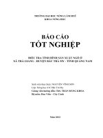 ĐIỀU TRA TÌNH HÌNH sản XUẤT NGÔ ở xã TRÀ GIANG   HUYỆN bắc TRÀ MY   TỈNH QUẢNG NAM