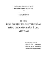 KINH NGHIỆM TÁI CẤU TRÚC NGÂN HÀNG THẾ GIỚI VÀ HÀM Ý CHO VIỆT NAM
