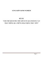 SKKN Cho trẻ khám phá thế giới xung quanh bằng vật thật thông qua những hoạt động thực tiễn