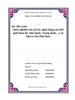 Kinh nghiệm tái cấ trúc ngân hàng của thế giới (Hoa Kỳ, Hàn Quốc, Trung Quốc,…) và hàm ý cho Việt Nam