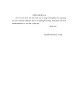 Phát triển dịch vụ ngân hàng bán lẻ tại ngân hàng VP Bank - Chi nhánh Thăng Long