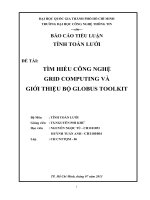 TÌM HIỂU CÔNG NGHỆ GRID COMPUTING VÀ GIỚI THIỆU BỘ GLOBUS TOOLKIT