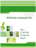 Biến đổi khí hậu và ảnh hưởng đến xã hội