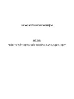 SKKN Đầu tư xây dựng môi trường xanh, sạch, đẹp