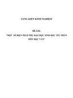 SKKN Một số biện pháp phụ đạo học sinh học yếu phân môn Học vần