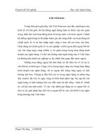 THỰC TRẠNG RỦI RO NGOẠI HỐI VÀ CÁC GIẢI PHÁP NHẰM HẠN CHẾ RỦI RO NGOẠI HỐI Ở CÁC NGÂN HÀNG THƯƠNG MẠI VIỆT NAM