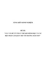 SKKN Các vấn đề về tâm lý trẻ khi mới đi học và các biện pháp làm quen trẻ với trường mầm non