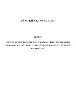 SKKN Một số kinh nghiệm chỉ đạo nâng cao chất lượng làm đồ dùng học tập, đồ chơi tự tạo từ nguyên vật liệu sẵn có ở địa phương