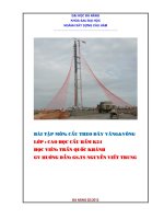 Tính toán độ giản dài cáp dây văng bằng ví dụ số (tính tay) theo lý thuyết phi tuyến hình học