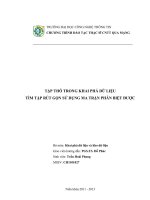 TẬP THÔ TRONG KHAI PHÁ DỮ LIỆU TÌM TẬP RÚT GỌN SỬ DỤNG MA TRẬN PHÂN BIỆT ĐƯỢC