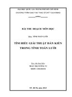 TÌM HIỂU GIẢI THUẬT ĐÀN KIẾN TRONG TÍNH TOÁN LƯỚI