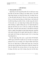 Giải pháp phòng ngừa và hạn chế rủi ro tín dụng tại Chi nhánh Ngân hàng TMCP Kỹ thương Hà Tây