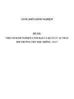 SKKN Một số kinh nghiệm lãnh đạo và quản lý sự thay đổi trường tiểu học Krông Ana