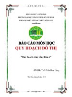 Tiểu Luận Quy hoạch công cộng khu ở