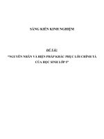 SKKN Nguyên nhân và biện pháp khắc phục lỗi chính tả của học sinh lớp 5