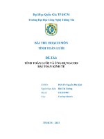 TÍNH TOÁN LƯỚI VÀ ỨNG DỤNG CHO BÀI TOÁN KINH TẾ