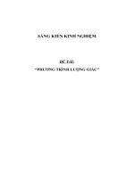 SKKN Kinh nghiệm dạy Phương trình lượng giác ở THPT