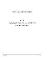 SKKN Một số biện pháp chỉ đạo xã hội hoá giáo dục mầm non