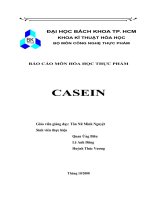 Tiều luận đề tài Casein